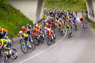 Course de la Paix Juniors / Závod míru juniorů 2025